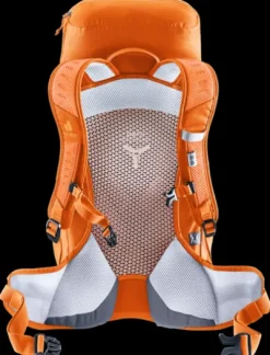 Deuter AC Lite 22 SL