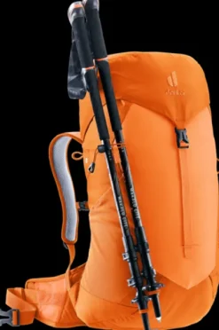 Deuter AC Lite 22 SL