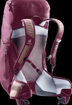 Deuter AC Lite 22 SL