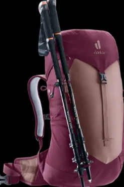 Deuter AC Lite 22 SL