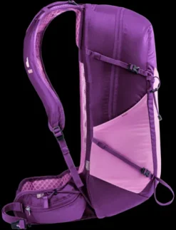 Deuter Speed Lite Pro 23 SL
