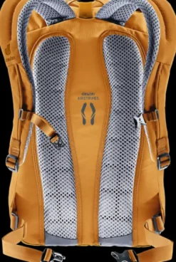 Deuter Stepout 22