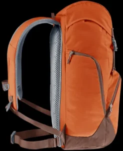 Deuter Walker 24