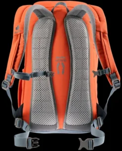 Deuter Walker 24